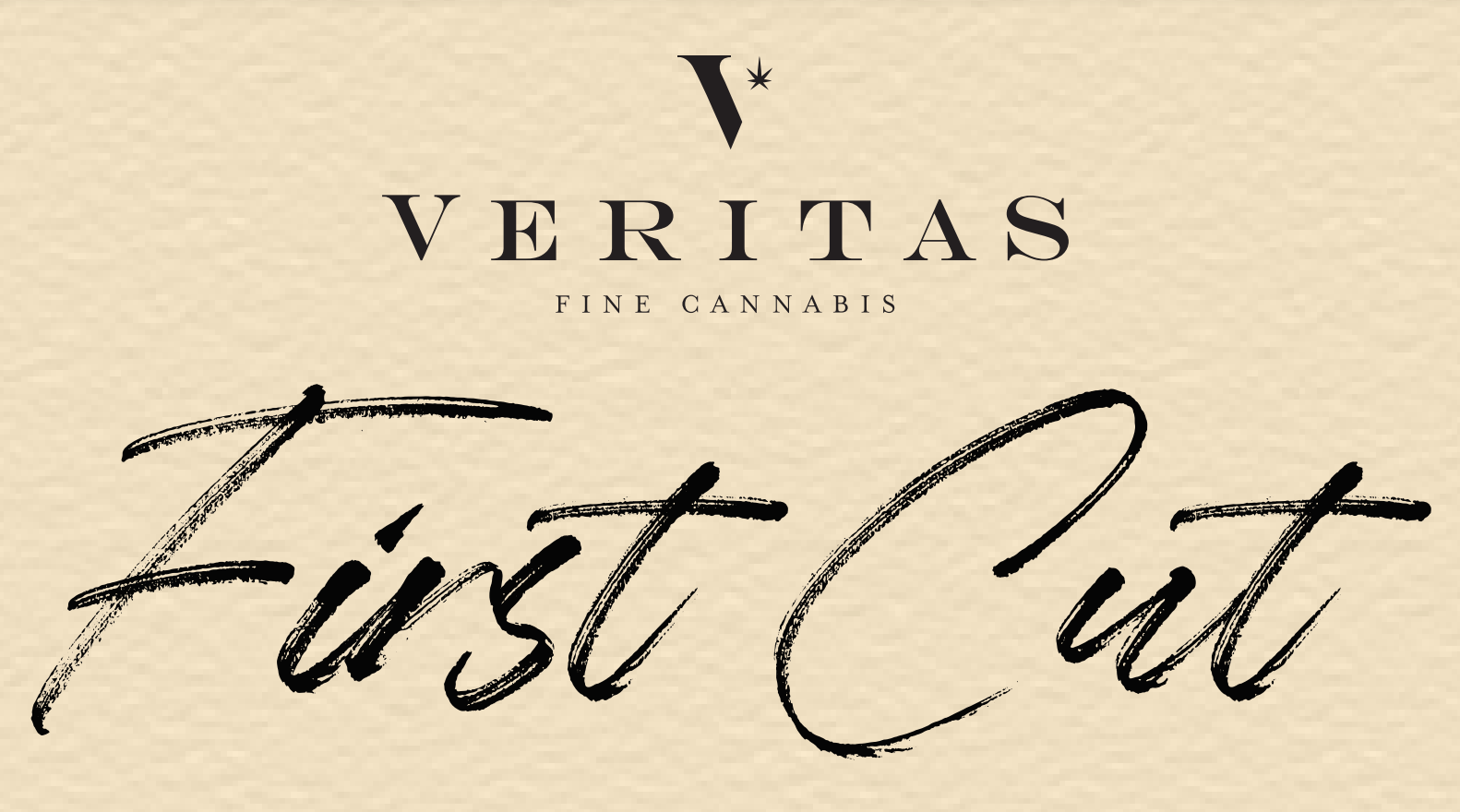 Behind the Scenes at the Veritas Cannabis Design Studio￼